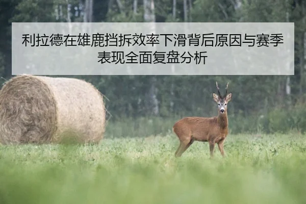 利拉德在雄鹿挡拆效率下滑背后原因与赛季表现全面复盘分析